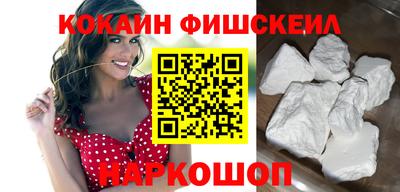 крисы Кингисепп