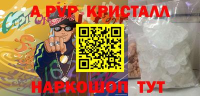 крисы Кингисепп