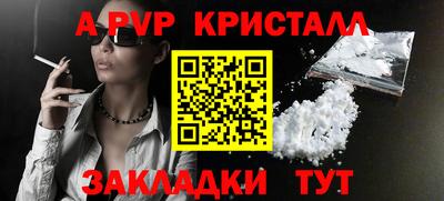 крисы Кингисепп