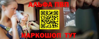 крисы Кингисепп