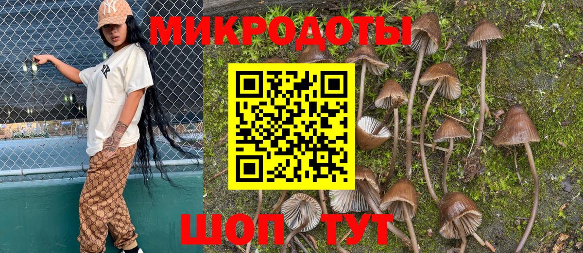 Красный Сулин  Галлюциногенные грибы Psilocybe  Вход с VPN  Псилоцибиновые грибы GOLDEN TEACHER 