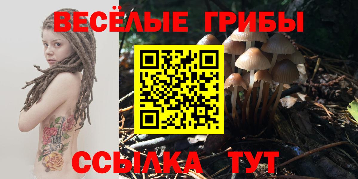 Псилоцибиновые грибы ЛСД Красный Сулин